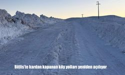 Bitlis'te kardan kapanan köy yolları yeniden açılıyor