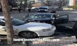 Elazığ'da zincirleme trafik kazası: 1 yaralı