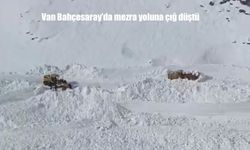 Van Bahçesaray'da mezra yoluna çığ düştü