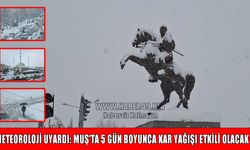 Meteoroloji uyardı: Muş'a kar geri geliyor!