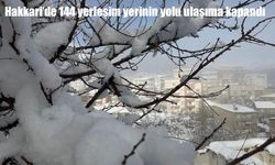 Hakkari’de kar yağışı ulaşımı olumsuz etkiledi: 144 yerleşim yerinin yolu kapandı