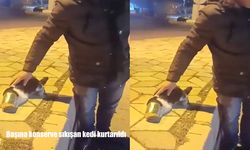 Elazığ’da duyarlılık örneği: Başına konserve sıkışan kedi kurtarıldı