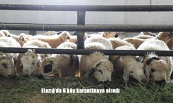 Elazığ'da 6 köy karantinaya alındı