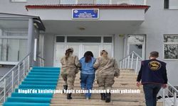 Bingöl’de kesinleşmiş hapis cezası bulunan 8 zanlı yakalandı