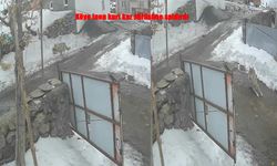 Kurt köyde avlanırken kameralara yansıdı