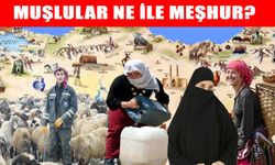 81 ilin karakter haritası yeniden gündemde: Muş’un ‘Geniş Gönüllü’ insanları dikkat çekti!