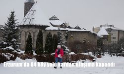 Erzurum'da 84 köy yolu kardan ulaşıma kapandı
