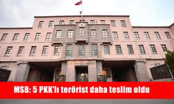 5 PKK'lı terörist daha teslim oldu
