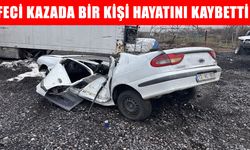 Bingöl'de trafik kazası: 1 ölü