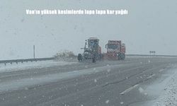 Van'ın yüksek kesimlerde lapa lapa kar yağdı