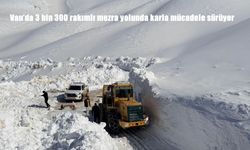Van'da 3 bin 300 rakımlı mezra yolunda karla mücadele sürüyor