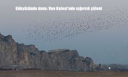 Gökyüzünde dans: Van Kalesi'nde sığırcık şöleni