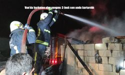 Van'da korkutan ahır yangını: 3 inek son anda kurtarıldı