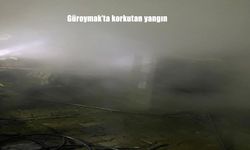 Güroymak'ta korkutan yangın