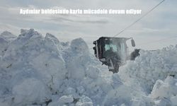 Aydınlar beldesinde karla mücadele devam ediyor