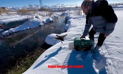 Tedavi edilen sakar meke yeniden kanat çırptı