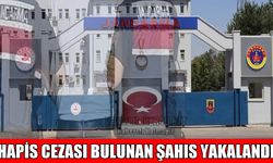Muş'ta 4 yıl 7 ay hapis cezası bulunan firari yakalandı