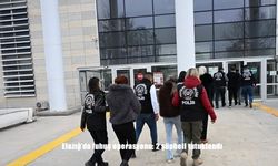 Elazığ’da fuhuş operasyonu: 2 şüpheli tutuklandı