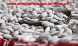 Elazığ'da badem şekerine yoğun talep