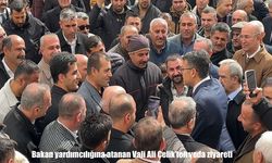 Bakan yardımcılığına atanan Vali Ali Çelik’ten veda ziyareti