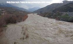 Kulp Çayı taştı: Debi rekor seviyeye ulaştı