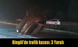 Bingöl’de feci kaza: 3 Yaralı
