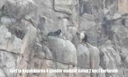 Siirt’te kayalıklarda 4 gündür mahsur kalan 2 keçi kurtarıldı