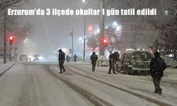 Erzurum’da 3 ilçede okullar 1 gün tatil edildi