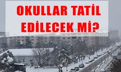 Muş’ta gözler valiliğin "kar tatili" kararında