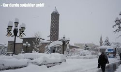 Erzurum’da kar yerini dondurucu soğuğa bıraktı
