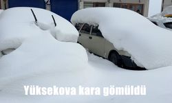 Yüksekova kara gömüldü