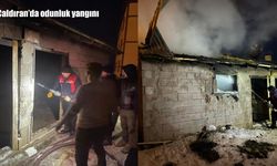 Çaldıran'da odunluk yangını