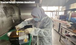 Erzurum’da 483 işletme denetlendi