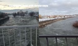 Elazığ'da kar suları eridi, derelerde su seviyesi arttı