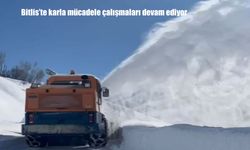 Bitlis’te karla mücadele çalışmaları devam ediyor