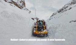 Hakkari–Çukurca yolunda çığ düştü: O anlar kameraya yansıdı