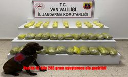 Başkale kırsalında jandarmadan uyuşturucu operasyonu