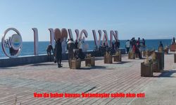 Şubat ortasında bahar sürprizi: Van sahilleri doldu taştı