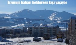 Erzurum yeniden beyaza büründü