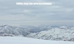 2 bin 800 rakımda zorlu parkur: Sülbüs Dağı’nda kış tırmanışı