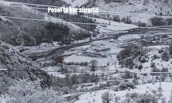 Posof’ta bahar beklenirken kar yağdı