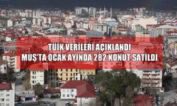 TÜİK verileri açıklandı: Muş’ta Ocak ayında kaç konut satıldı?