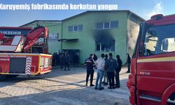 Denizli’de kuruyemiş fabrikasında korkutan yangın