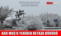 Muş’ta kış manzaraları: Şehir merkezinde görsel şölen, yükseklerde kar mesaisi