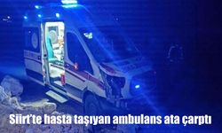 Siirt’te hasta taşıyan ambulans ata çarptı