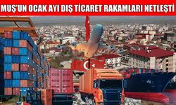 TÜİK verileri açıklandı: Muş’un ocak ayı dış ticaret rakamları netleşti