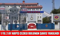 Muş’ta dolandırıcılık suçundan aranan şahıs yakalandı