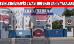 Muş'ta firari şahıs jandarma operasyonuyla yakalandı