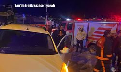 Van'da bir araç kaldırıma çarptı: 1 yaralı
