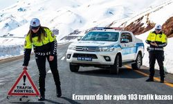 Erzurum'da bir ayda 103 trafik kazası